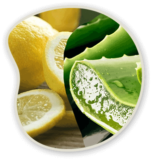 Metanail Serum Pro (Complex) Ingredients